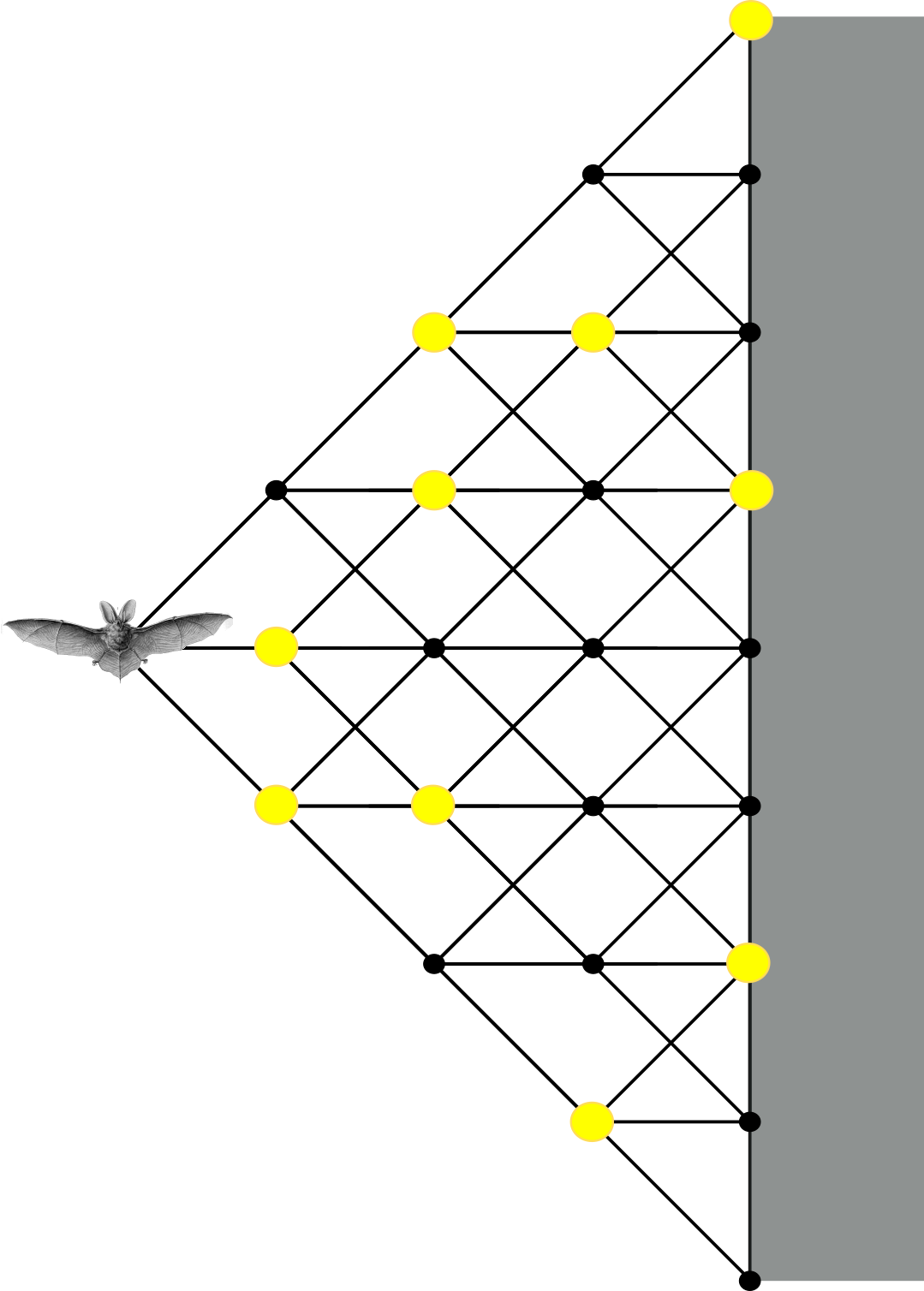 (bat and fruit on grid)